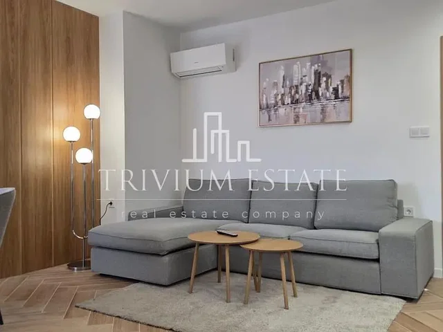 Хол; дървен под, естествена светлина, модерен стил