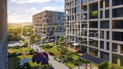 Kuća i okolina; pogled