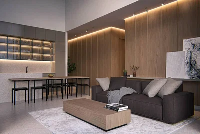 Salon; style moderne, lumière naturelle, parquet