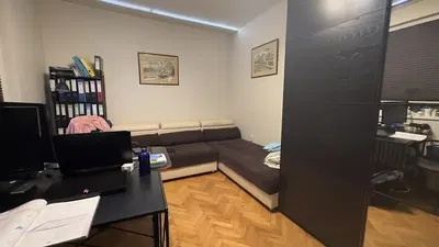 Dnevni boravak; drveni pod, prirodna svjetlost