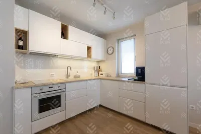 Cuisine; électroménager, lumière naturelle, style moderne