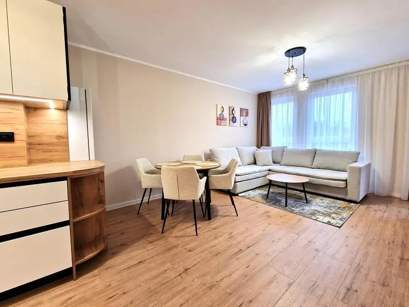 Salon; lumière naturelle, style moderne, parquet