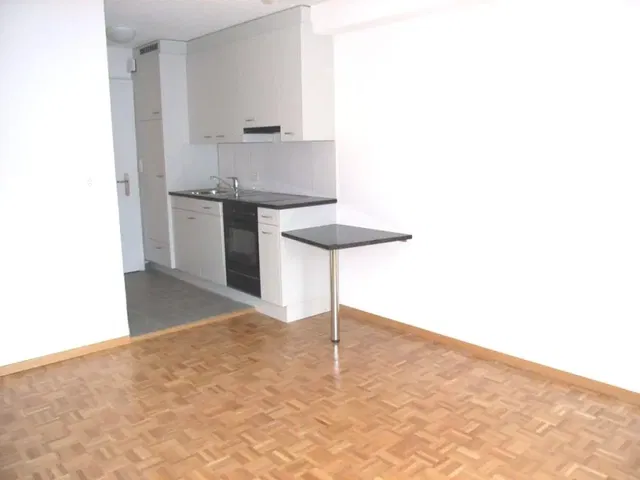 Kitchen; wood floor, natural light