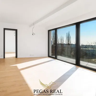 Wohnzimmer; blick, holzboden, tageslicht