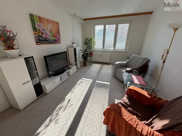 Wohnzimmer; tageslicht, moderner stil