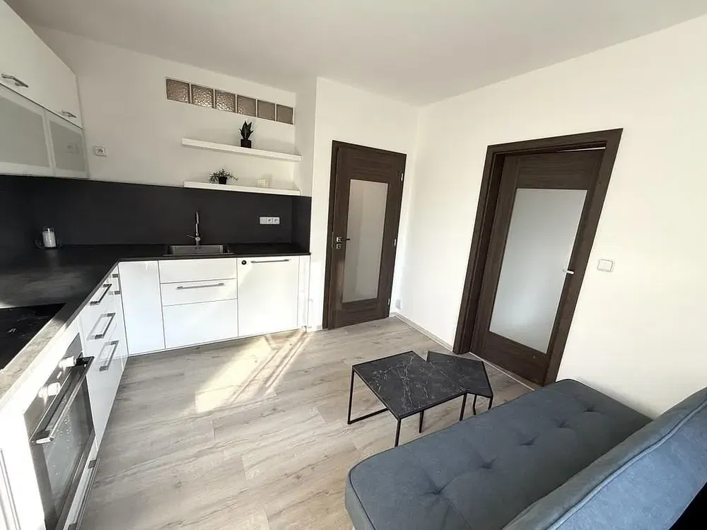 Kuhinja; kuhinjski aparati, prirodno svjetlo, moderni stil