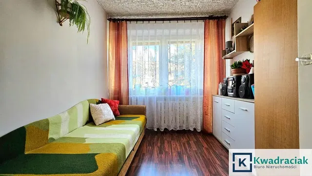 Obývací pokoj; výhled, dřevěná podlaha, přirozené světlo