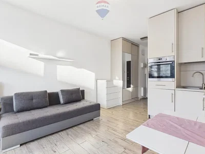 Salon; vue, lumière naturelle