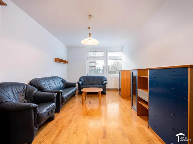 Salon; parquet, lumière naturelle