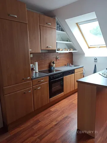 Cucina; elettrodomestici, luce naturale, stile moderno