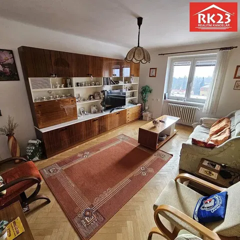 Salon; parquet, style rustique, lumière naturelle