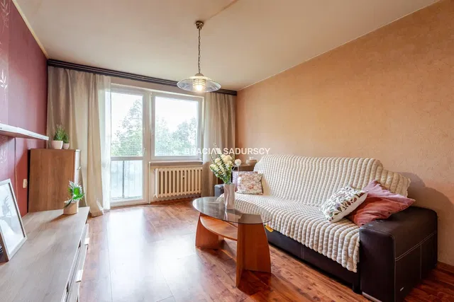 Wohnzimmer; tageslicht, moderner stil, holzboden