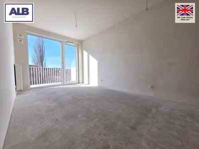 أخرى; إطلالة, يحتاج إلى تجديد, ضوء طبيعي