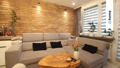 Дневна соба; природно светло, модерни стил