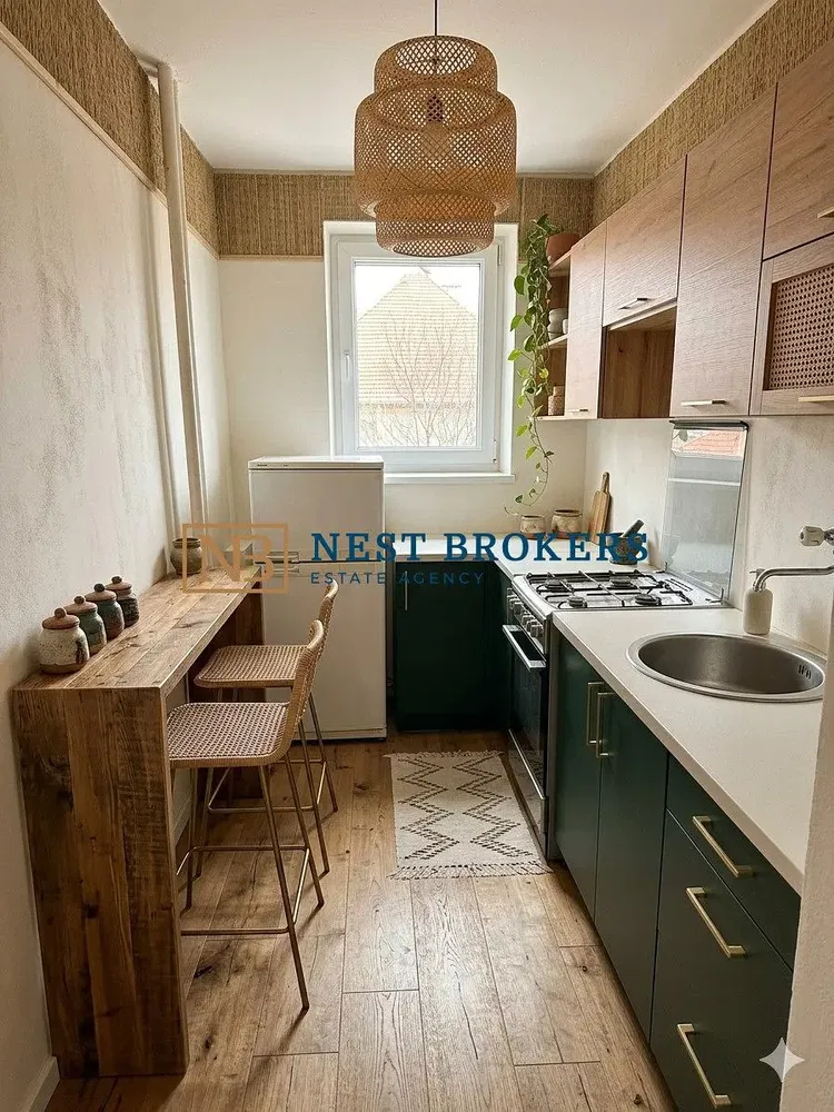 Cuisine; électroménager, lumière naturelle, style moderne