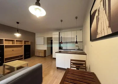 Salon; style moderne, parquet, lumière naturelle