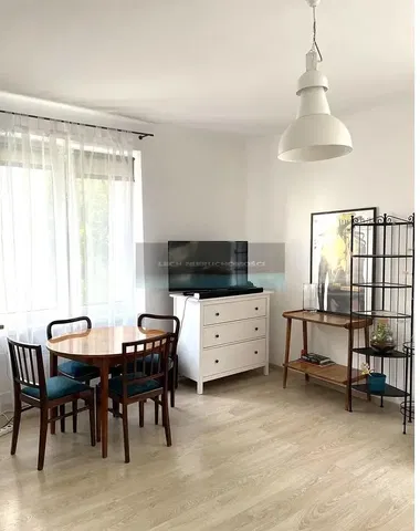 Salon; światło dzienne, styl nowoczesny