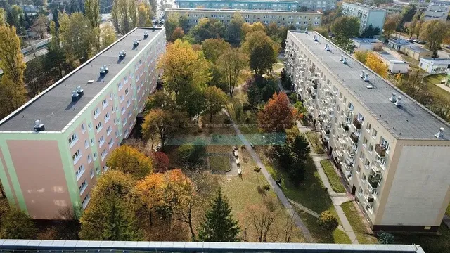 Dom i otoczenie; widok