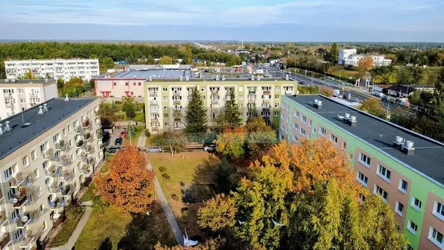 Dom i otoczenie; widok