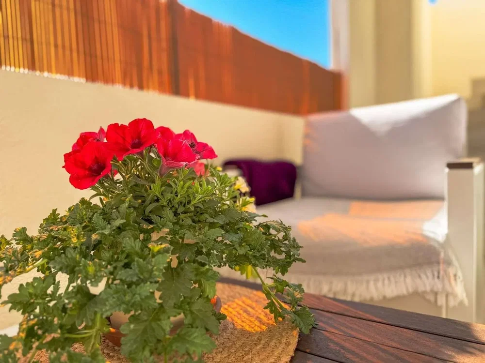 Teras; doğal ışık