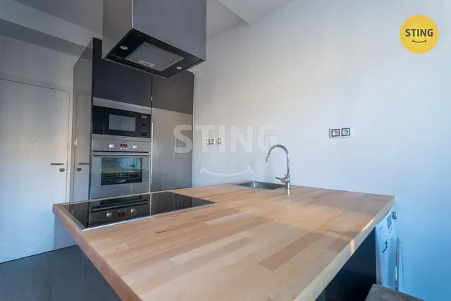 Küche; küchengeräte, renoviert, tageslicht, moderner stil
