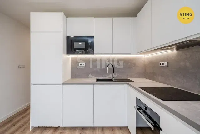 Küche; küchengeräte, moderner stil, renoviert, tageslicht