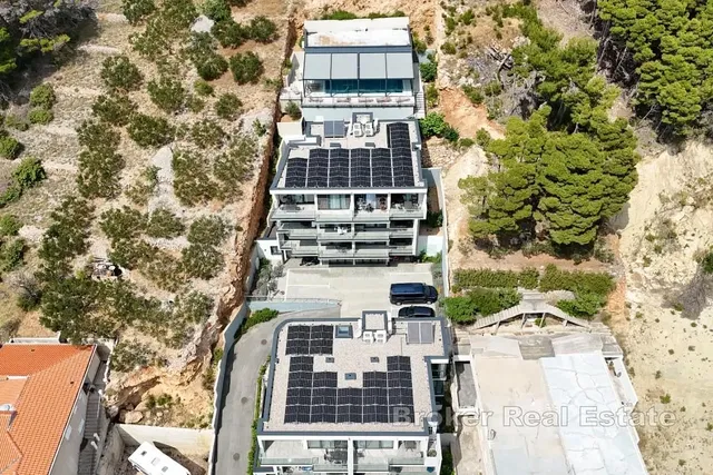 House and surroundings