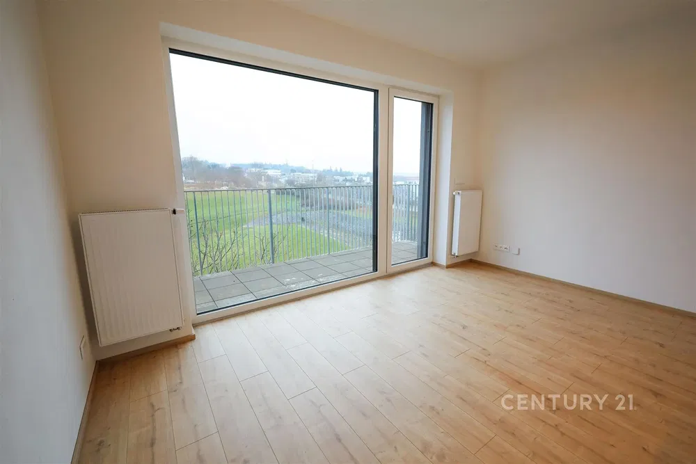 Salon; vue, parquet, lumière naturelle