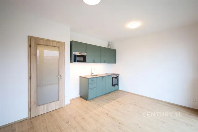 Kuhinja; kuhinjski aparati, drveni pod, prirodno svjetlo, renoviran