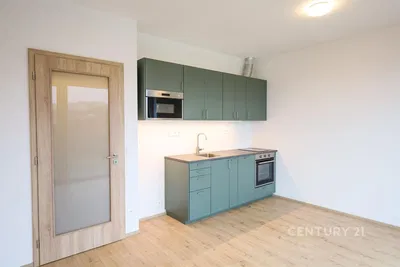 Kuhinja; kuhinjski aparati, drveni pod, renoviran, prirodno svjetlo