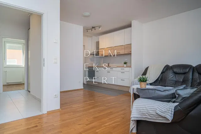 Living room; wood floor, natural light, modern style