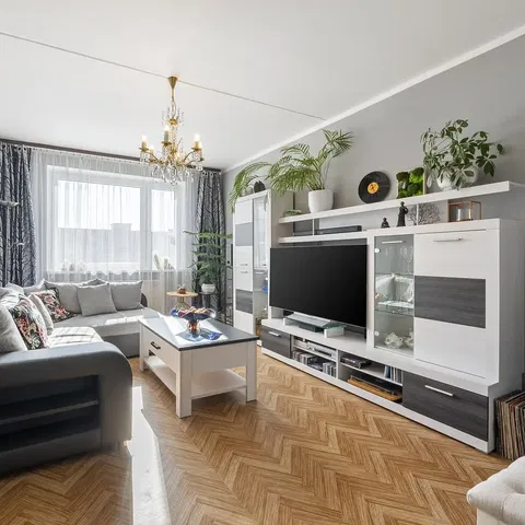 Salon; lumière naturelle, style moderne, parquet