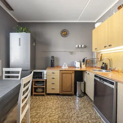 Keuken; keukenapparatuur, natuurlijk licht, moderne stijl
