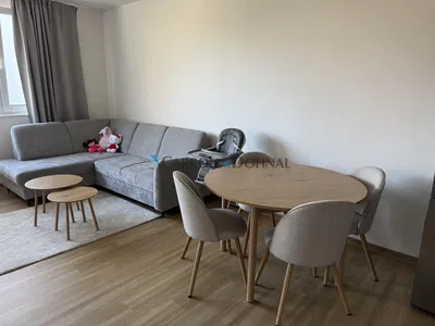 Woonkamer; natuurlijk licht, moderne stijl