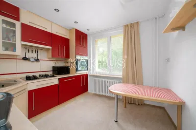 Cuisine; électroménager, lumière naturelle, style moderne