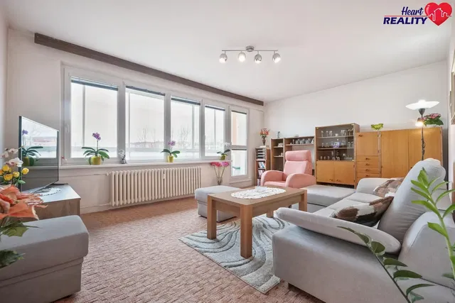 Living room; natural light, modern style