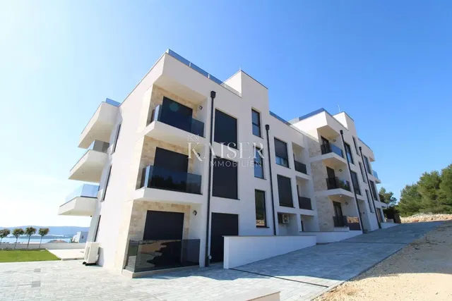 House and surroundings; view