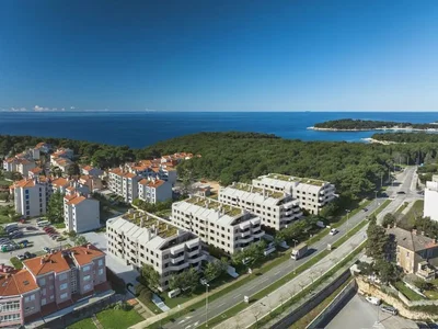 Haus und umgebung; blick