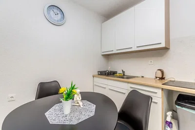Kuchyně; kuchyňské spotřebiče, přirozené světlo, moderní styl