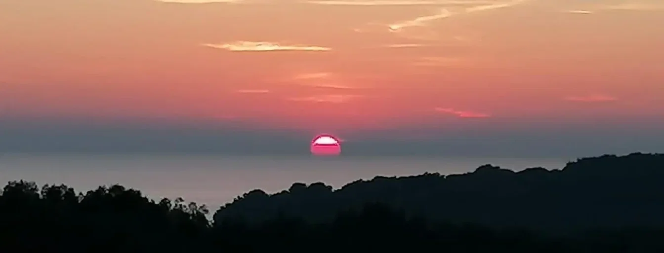 Sonstiges; blick, tageslicht