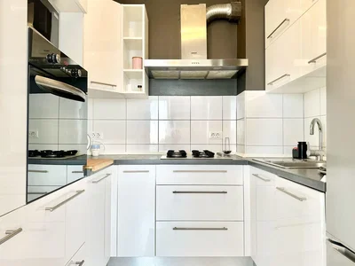 Kuchyně; kuchyňské spotřebiče, po rekonstrukci, přirozené světlo, moderní styl