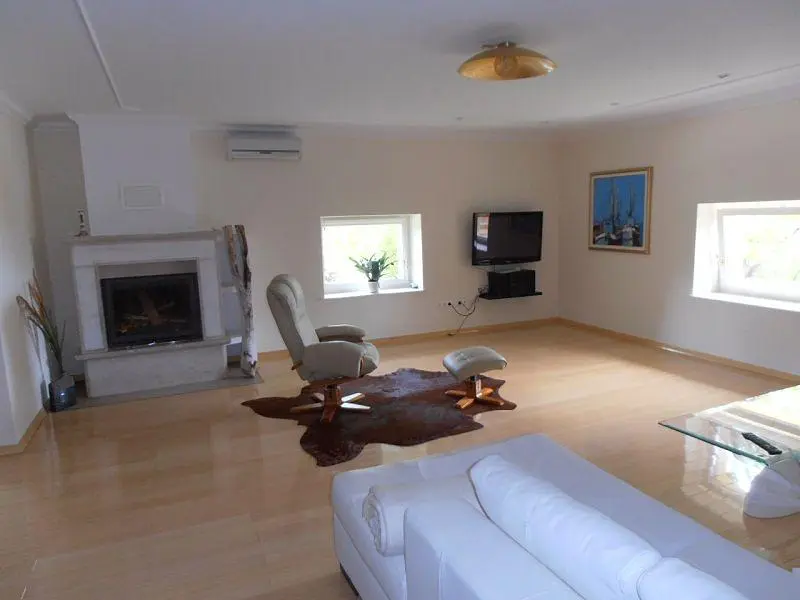 Дневна соба; камин, природно светло, модерни стил