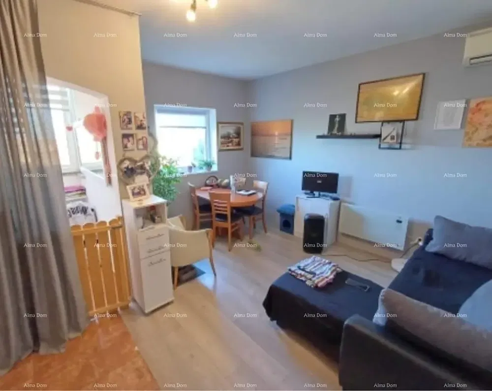 Oturma odası; doğal ışık, modern stil