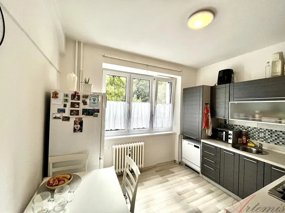 Kuhinja; kuhinjski aparati, prirodno svjetlo, moderni stil