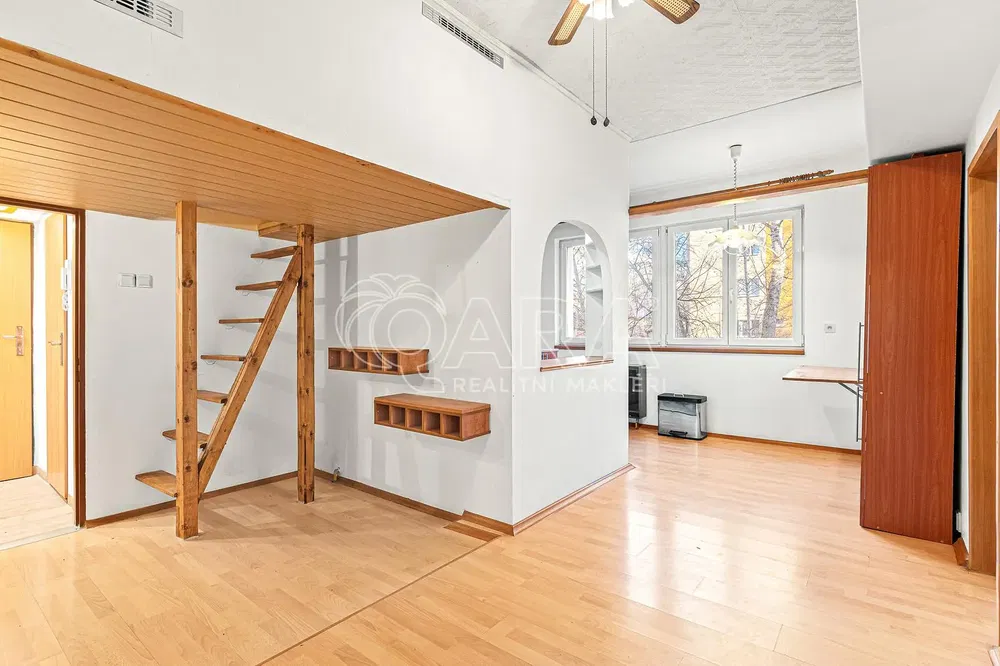 Salon; parquet, lumière naturelle