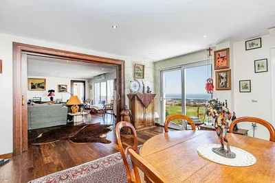 Дневна соба; дрвени под, рустикални стил, поглед, природно светло