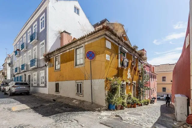 House and surroundings; view