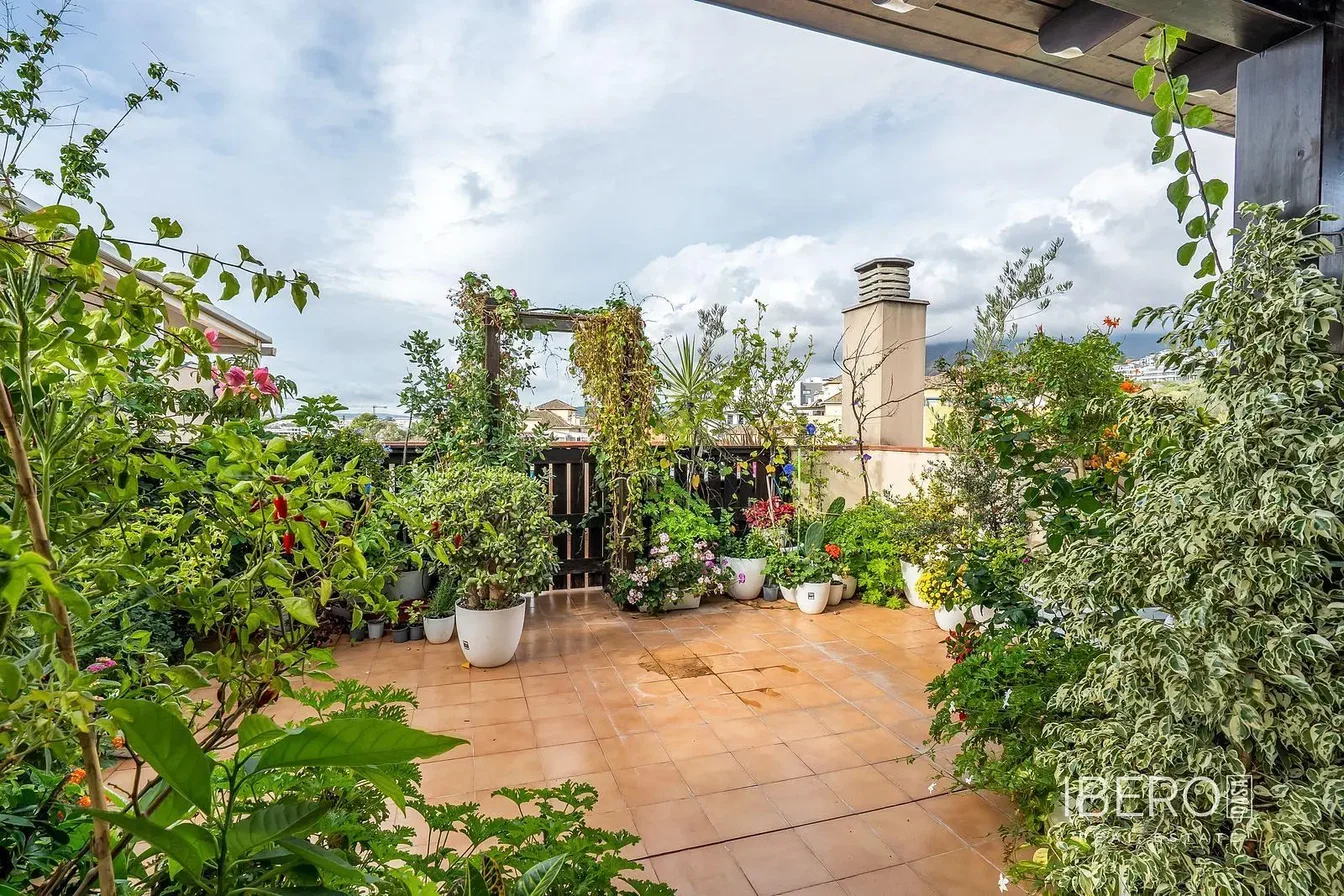 Terrasse; tageslicht, blick