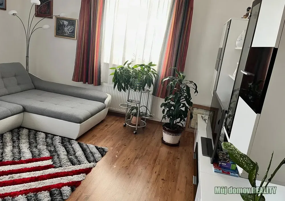 Dnevni boravak; drveni pod, prirodna svjetlost, moderan stil