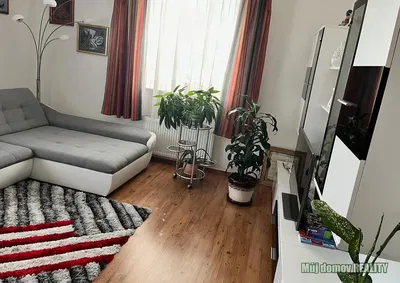 Dnevni boravak; drveni pod, prirodna svjetlost, moderan stil
